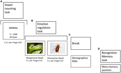 Age differences in the influence of self-esteem and emotional regulation on memory